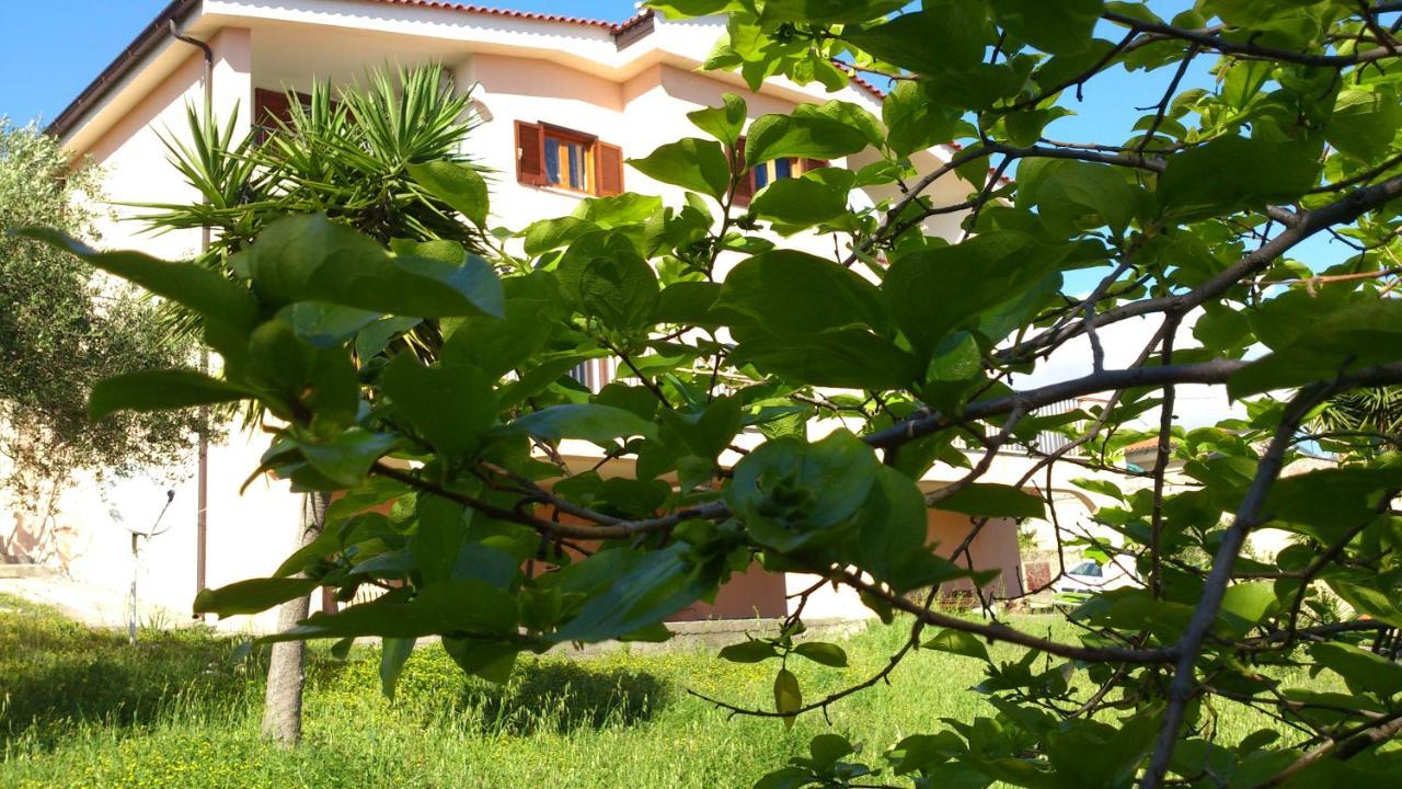 Borgo Marinaro Bed and Breakfast Marina di Camerota Exteriör bild