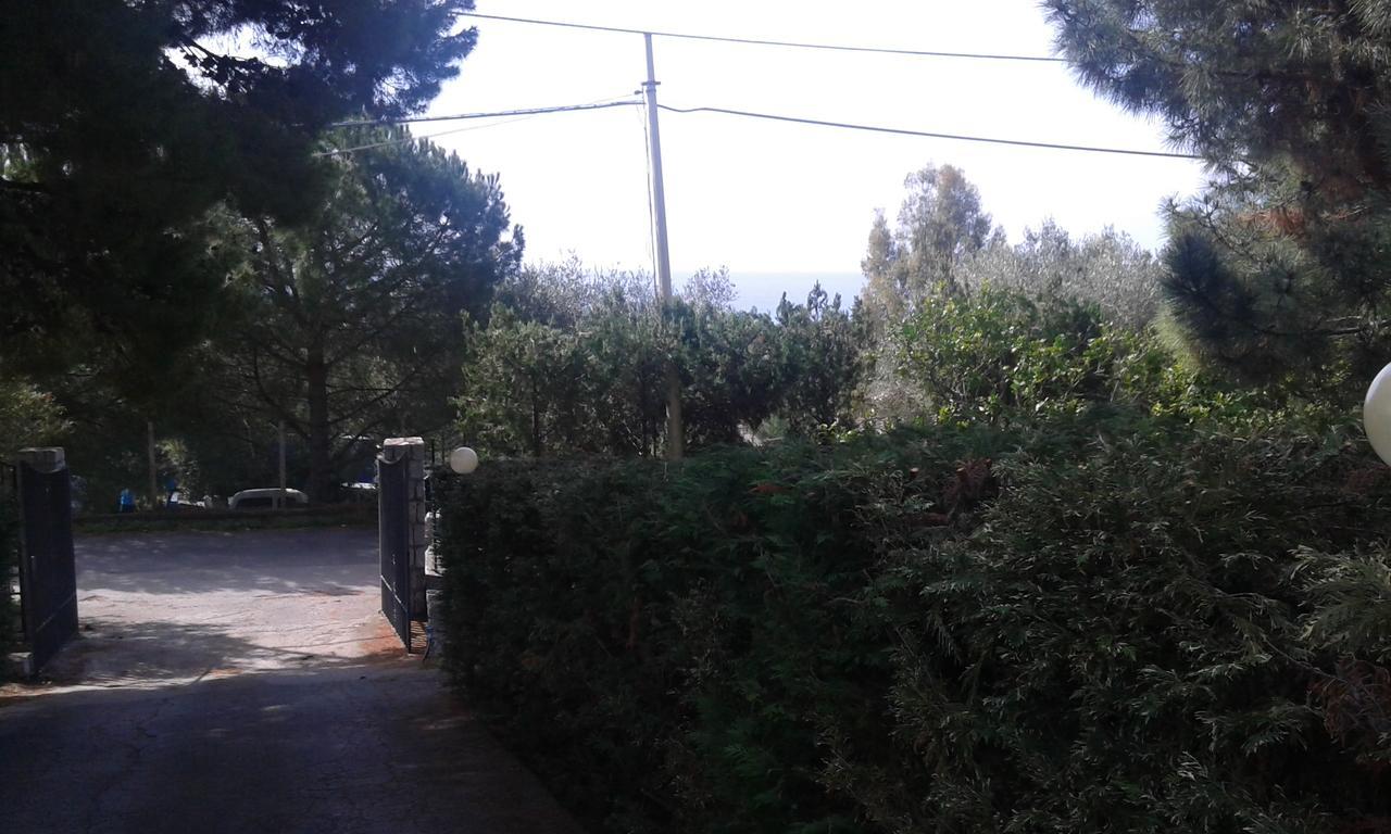 Borgo Marinaro Bed and Breakfast Marina di Camerota Exteriör bild